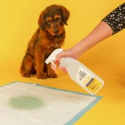 Skout's Honor Dog Pee Pad Refresher Spray, 28-oz Bottle & Frisco Washable Dog Potty Pads 13 Skout's Honor Dog Pee Pad Refresher Spray, 28-oz Bottle & Frisco Washable Dog Potty Pads -Paws Joy Outlet Store 772958 PT4. AC SS1800 V1676749044