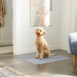 Skout's Honor Dog Pee Pad Refresher Spray, 28-oz Bottle & Frisco Washable Dog Potty Pads 17 Skout's Honor Dog Pee Pad Refresher Spray, 28-oz Bottle & Frisco Washable Dog Potty Pads -Paws Joy Outlet Store 772958 PT8. AC SS1800 V1676752183