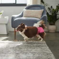 Skout's Honor Laundry Booster Stain & Odor Removal Additive, 32-oz Bottle & Frisco Washable Female Diaper -Paws Joy Outlet Store 773022 PT8. AC SS1800 V1676749103