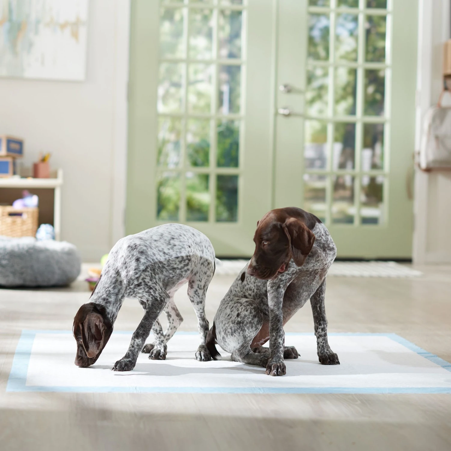 Frisco Mega Non-Skid Ultra Premium Dog Training & Potty Pads 6 Frisco Mega Non-Skid Ultra Premium Dog Training & Potty Pads - Image 6