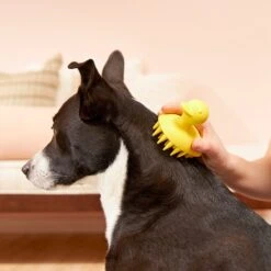 Buddy Wash Relaxing Green Tea & Bergamot Dog Shampoo & Conditioner & Frisco Rubber Duckie Dog & Cat Curry Brush -Paws Joy Outlet Store 826422 PT7. AC SS1800 V1681332439