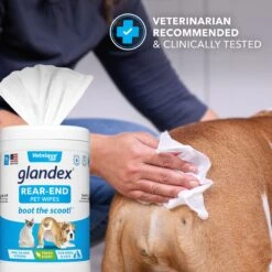 Vetnique Labs Glandex Wipes Rear End Anal Gland Cleansing & Deodorizing Hygienic Rear End Boot The Scoot Dog & Cat Wipes & Frisco Disposable Male Dog Wraps -Paws Joy Outlet Store 826454 PT4. AC SS1800 V1682018155