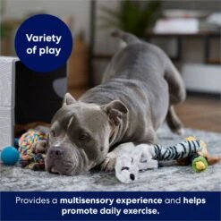 Frisco Forest Friends Plush, Rope & TPR Variety Pack Dog Toy 8 Frisco Forest Friends Plush, Rope & TPR Variety Pack Dog Toy -Paws Joy Outlet Store 843534 PT3. AC SS1800 V1693411070