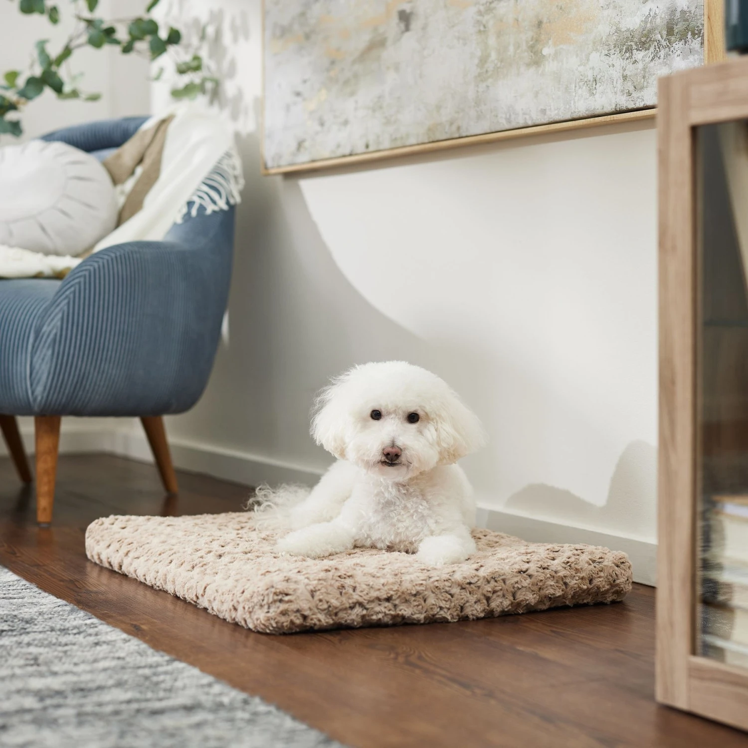 Frisco Double Door Furniture Style Dog Crate, Black & Frisco Swirl Dog Crate Mat 6 Frisco Double Door Furniture Style Dog Crate, Black & Frisco Swirl Dog Crate Mat - Image 6