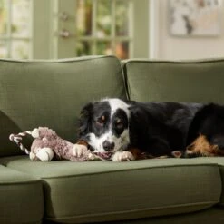 Frisco Monkey Plush With Rope Squeaky Dog Toy & Frisco Cow Plush With Inside Rope Squeaky Dog Toy -Paws Joy Outlet Store 961998 PT4. AC SS1800 V1694784009