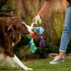 Frisco Fetch Colorful Ball Knot Rope Dog Toy & Frisco Monkey Plush With Rope Squeaky Dog Toy -Paws Joy Outlet Store 962014 PT2. AC SS1800 V1694784008