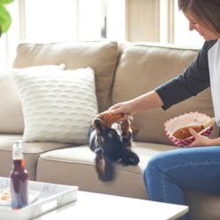 Frisco Corndog Interactive Plush Squeaky Dog Toy & Frisco Guacamole Hide & Seek Puzzle Plush Squeaky Dog Toy 12 Frisco Corndog Interactive Plush Squeaky Dog Toy & Frisco Guacamole Hide & Seek Puzzle Plush Squeaky Dog Toy -Paws Joy Outlet Store 962086 PT3. AC SS1800 V1694782979