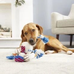 Frisco Holiday Snowman Plush With Rope Squeaky Dog Toy & Frisco Holiday Reindeer Plush With Rope Squeaky Dog Toy -Paws Joy Outlet Store 986174 PT4. AC SS1800 V1698258345