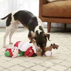 Frisco Holiday Santa's Helpers Plush Squeaky Dog Toy, 3 Count & Frisco Holiday Lights Plush With Rope Squeaky Dog Toy -Paws Joy Outlet Store 986206 PT4. AC SS1800 V1698257788