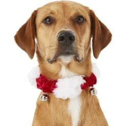 Frisco Holiday Dog & Cat Santa Hat, 1 Count & Frisco Jingle Bells Dog & Cat Holiday Collar With Bells, 1 Count -Paws Joy Outlet Store 986254 PT7. AC SS1800 V1698258115