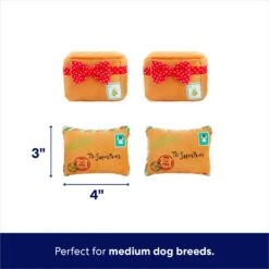 Frisco Holiday House Hide & Seek Puzzle Plush Squeaky Dog Toy & Frisco Holiday North Pole Mailbox Hide & Seek Puzzle Plush Squeaky Dog Toy -Paws Joy Outlet Store 986286 PT7. AC SS1800 V1698258056