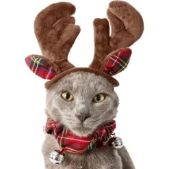 Frisco Jingle Bells Dog & Cat Holiday Collar With Bells, 1 Count & Frisco Holiday Antler Headband & Bell Collar Dog & Cat Costume -Paws Joy Outlet Store 986294 PT6. AC SS1800 V1698257736