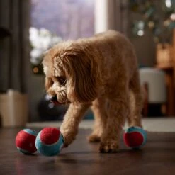 Frisco Holiday Ho Ho Ho Fetch Squeaky Tennis Ball Dog Toy & Frisco Holiday Arctic Friends Stuffing-Free Skinny Plush Squeaky Dog Toy -Paws Joy Outlet Store 986310 PT4. AC SS1800 V1698257790