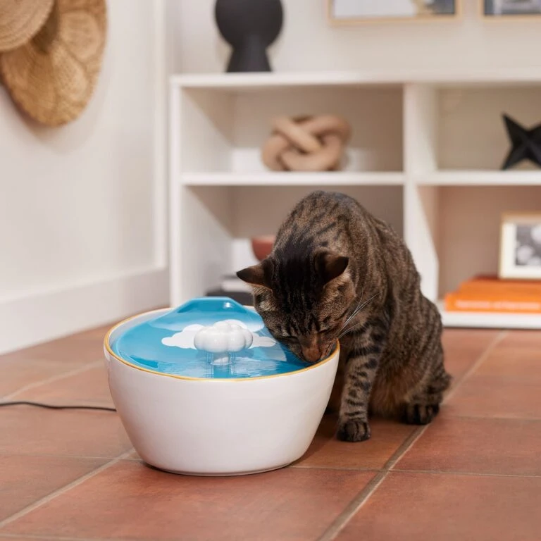 Paws Joy Outlet Store -Paws Joy Outlet Store 355803 MAIN. AC SS1800 V1665684257 768x768 1